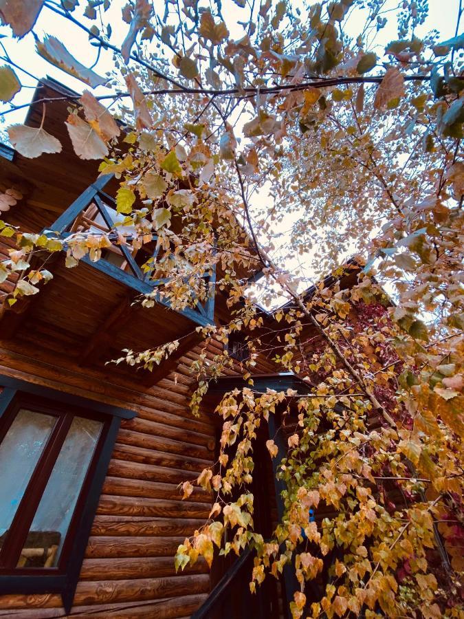Boutigue Hotel Nebesa Chimgan ภายนอก รูปภาพ
